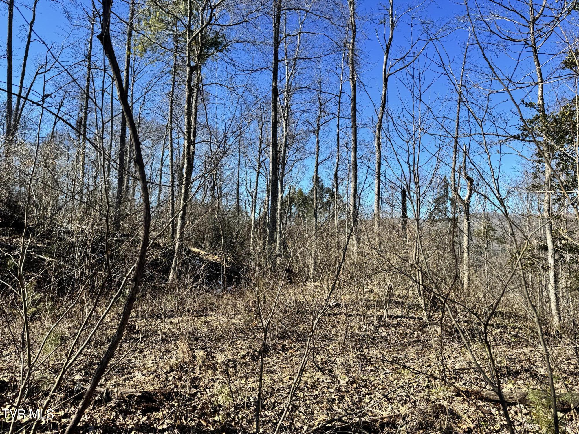 Big Dry Run Road, Mountain City, Tennessee image 30