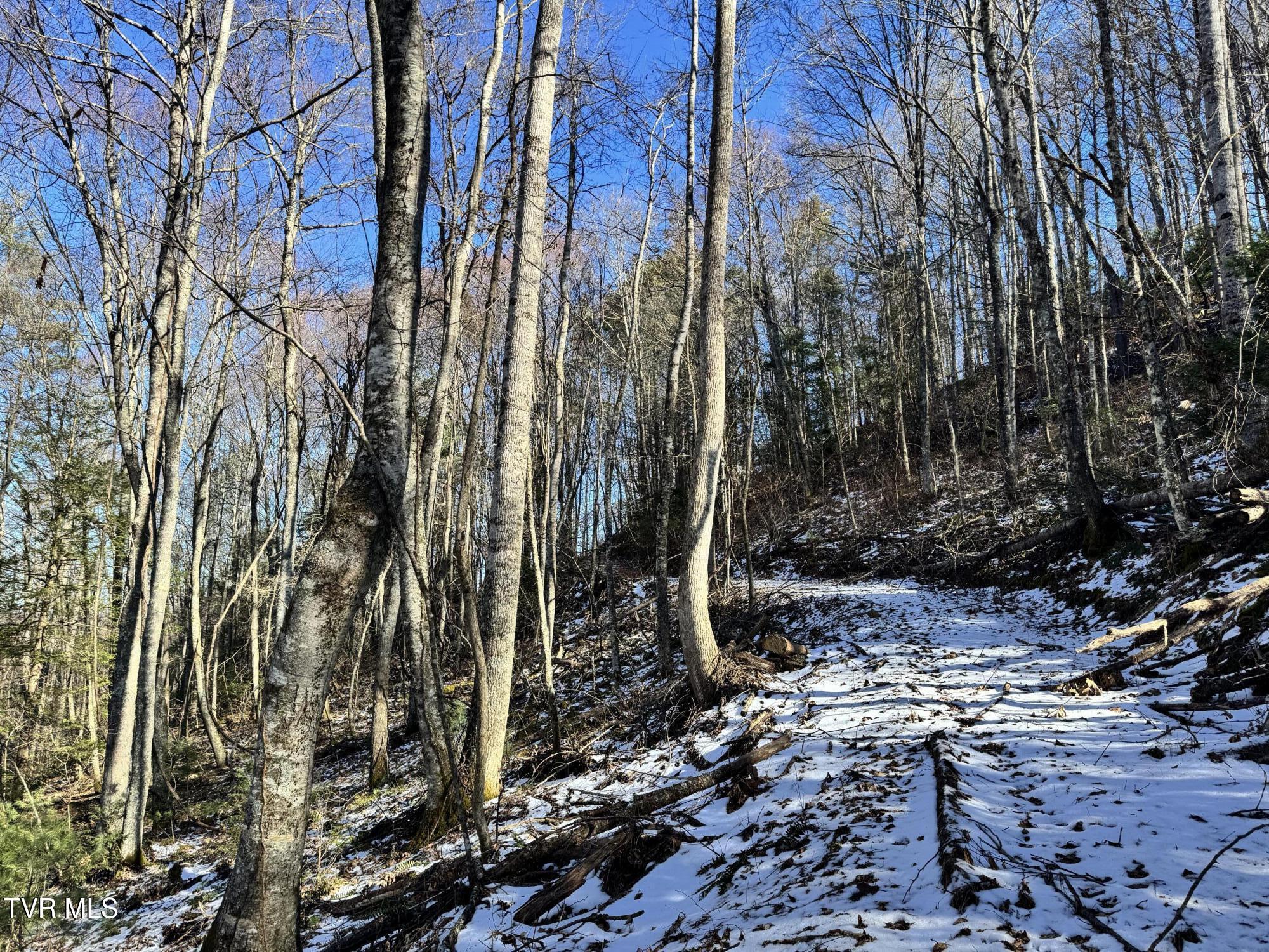 Big Dry Run Road, Mountain City, Tennessee image 10