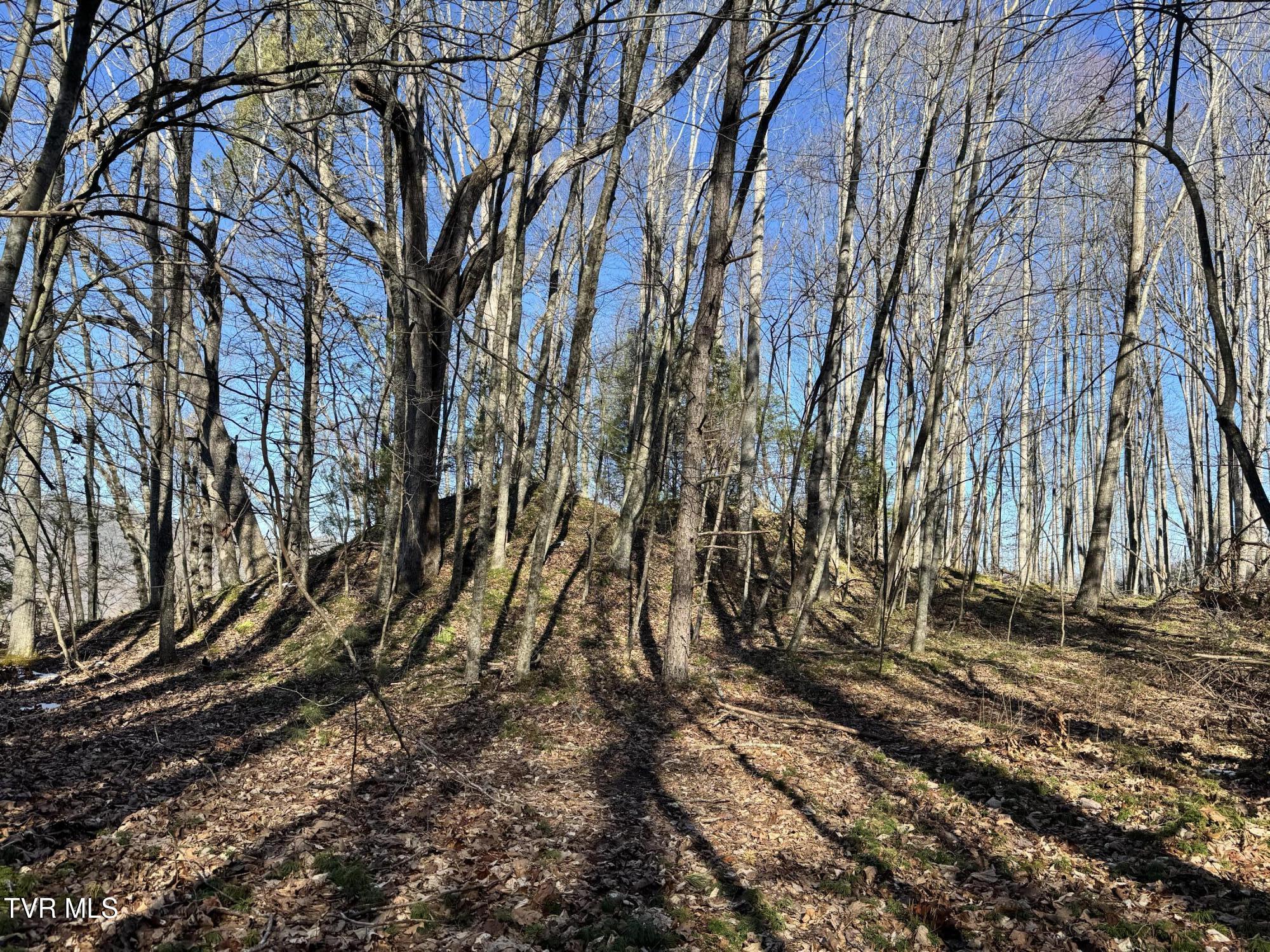Big Dry Run Road, Mountain City, Tennessee image 41