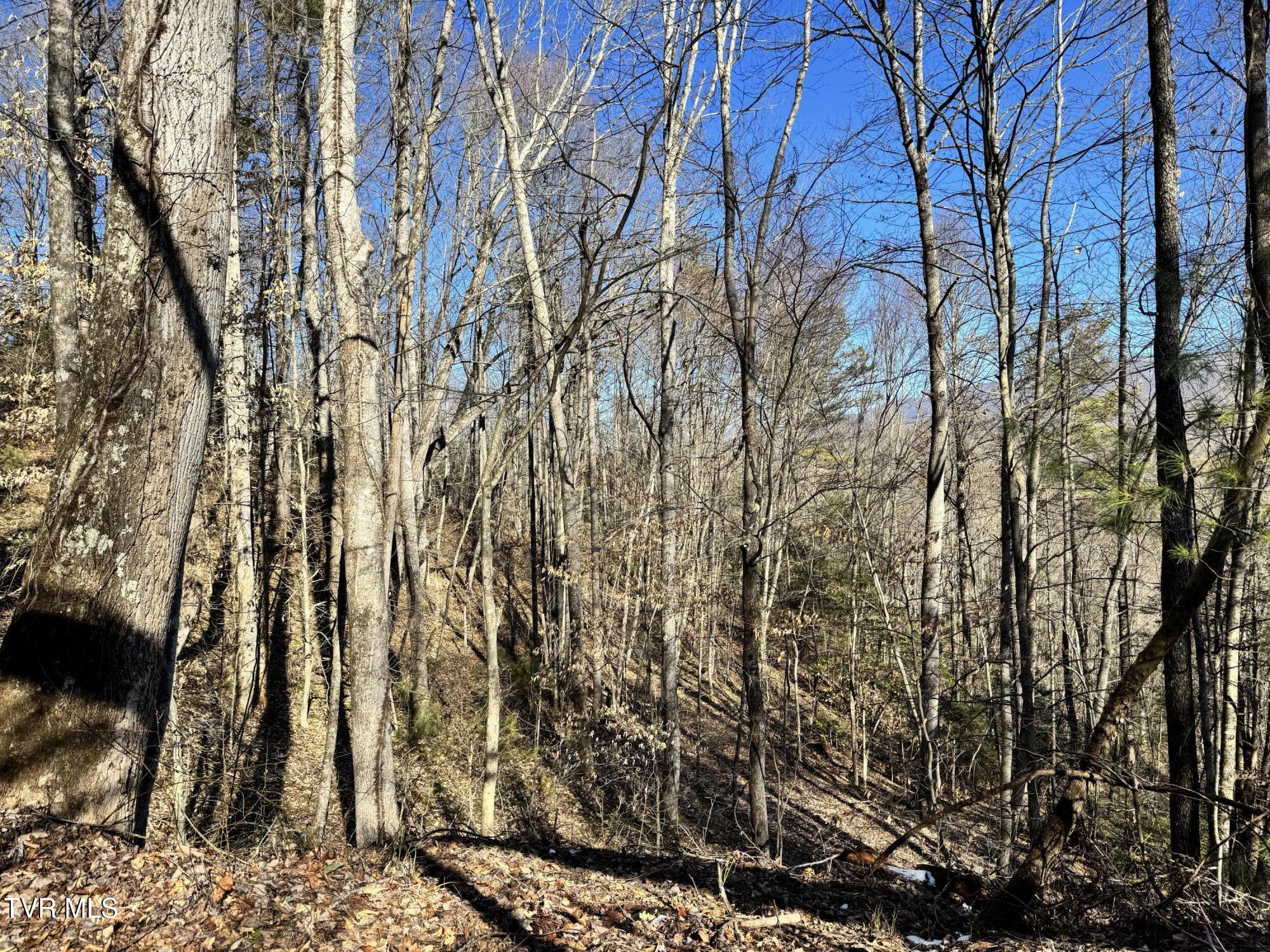 Big Dry Run Road, Mountain City, Tennessee image 34