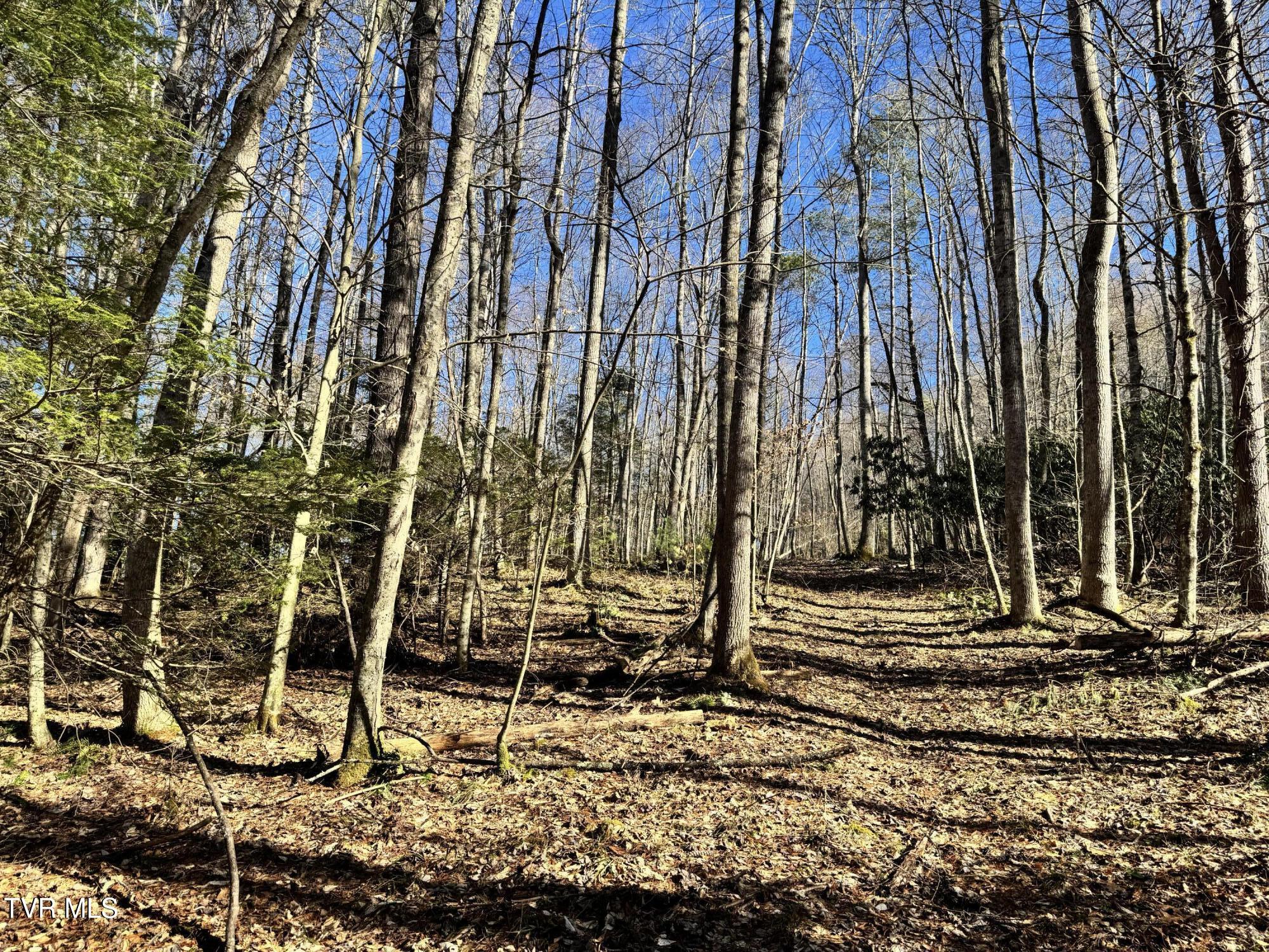 Big Dry Run Road, Mountain City, Tennessee image 8
