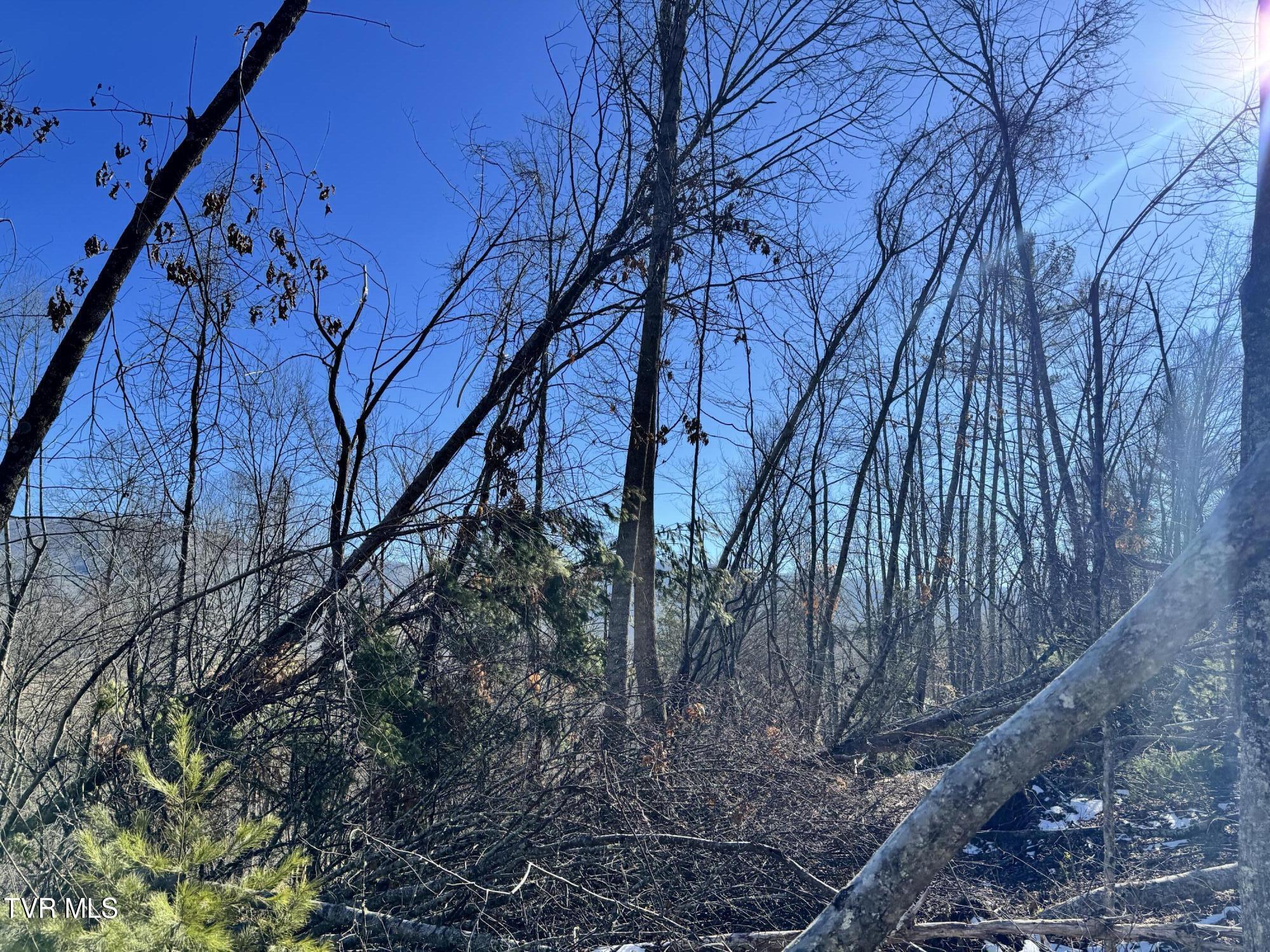 Big Dry Run Road, Mountain City, Tennessee image 32