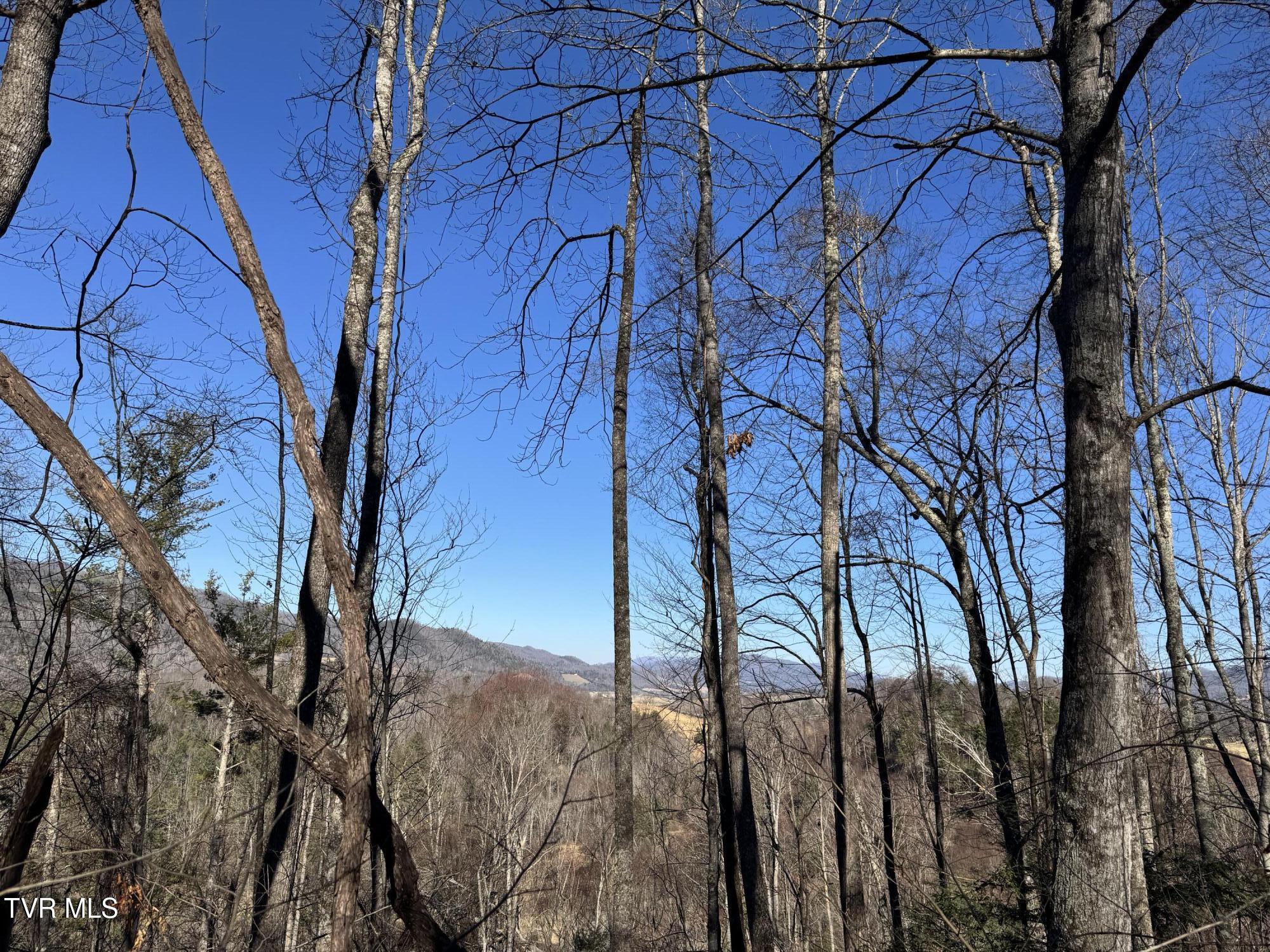 Big Dry Run Road, Mountain City, Tennessee image 28