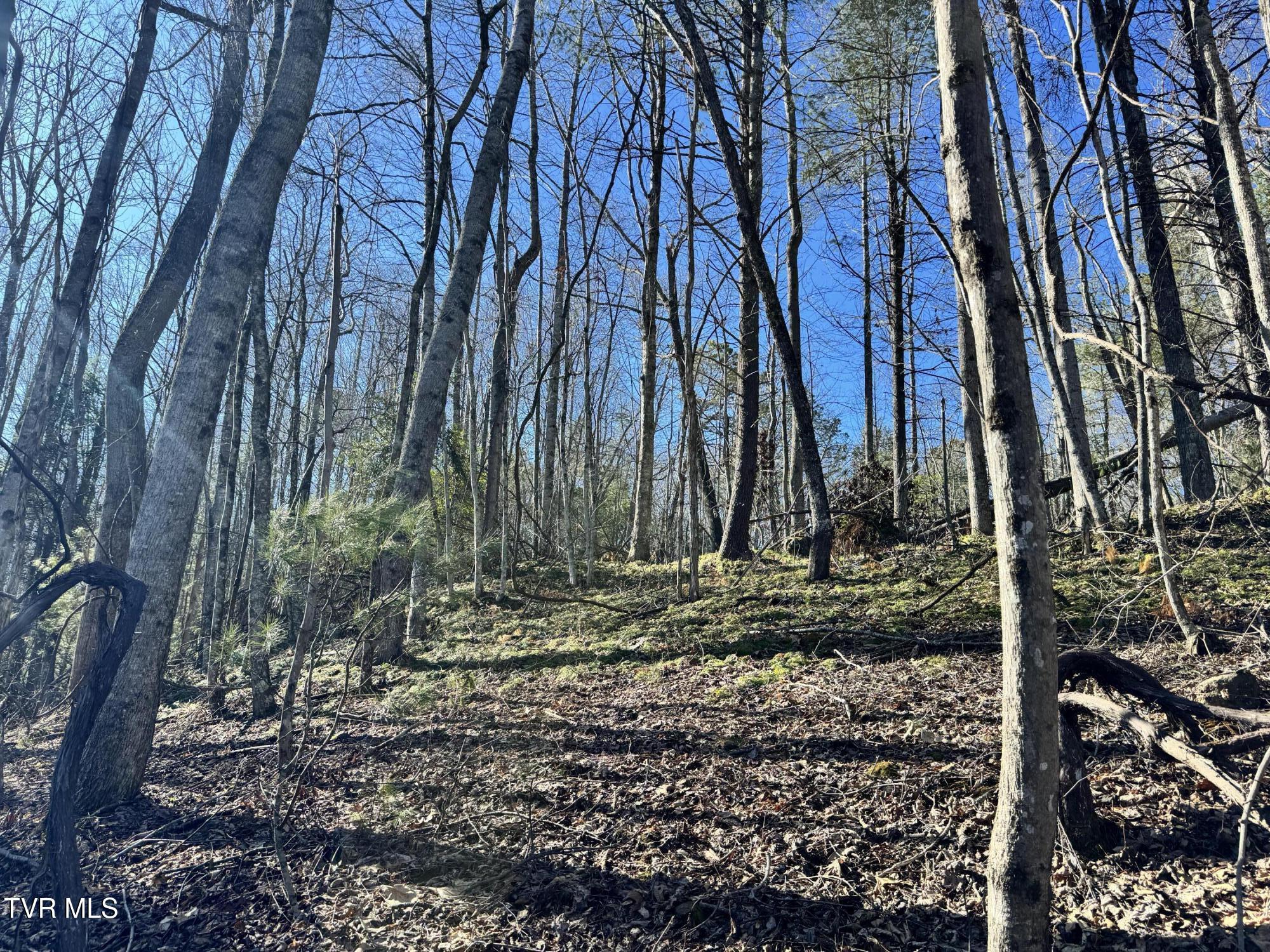 Big Dry Run Road, Mountain City, Tennessee image 14