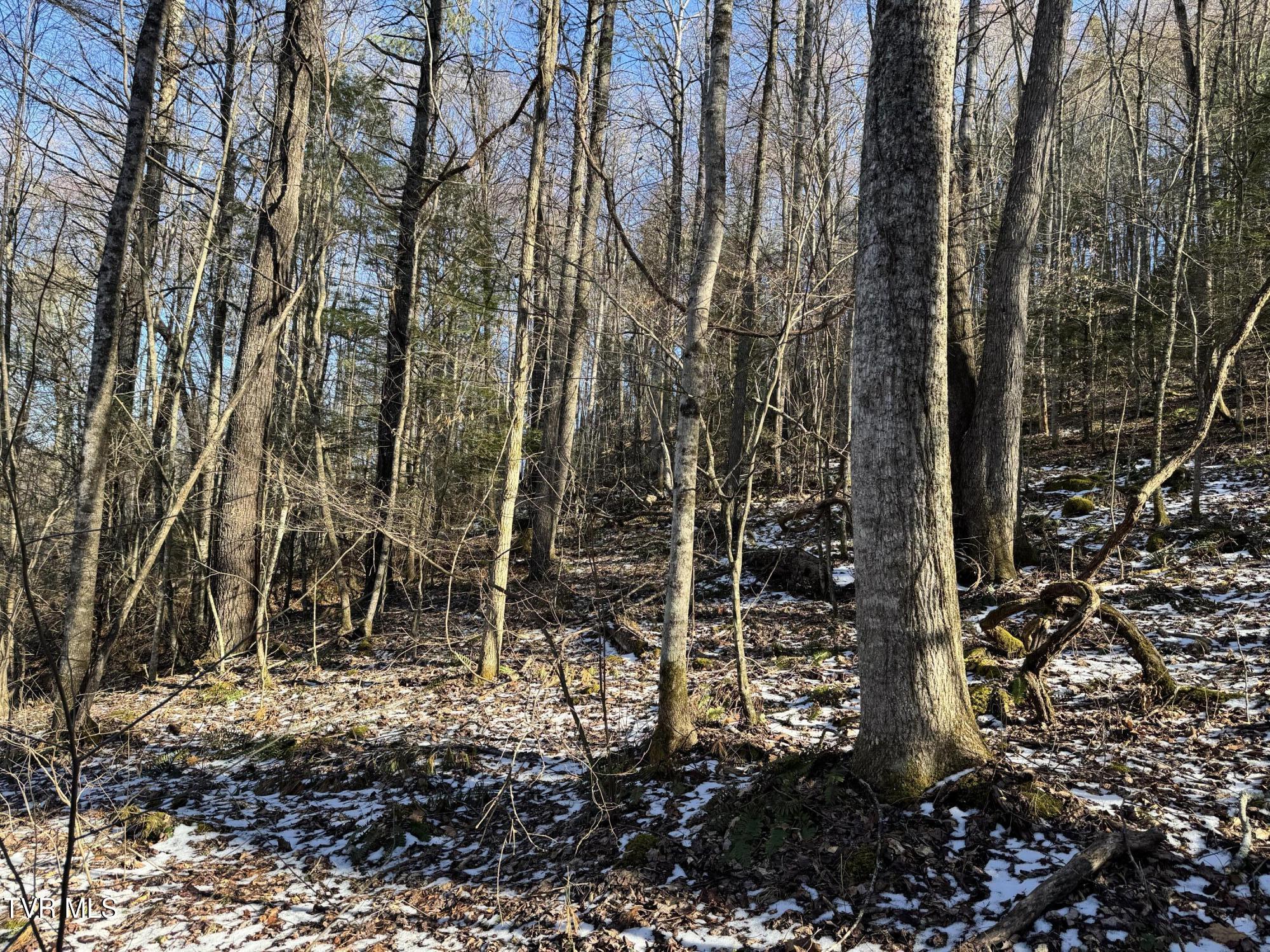 Big Dry Run Road, Mountain City, Tennessee image 45