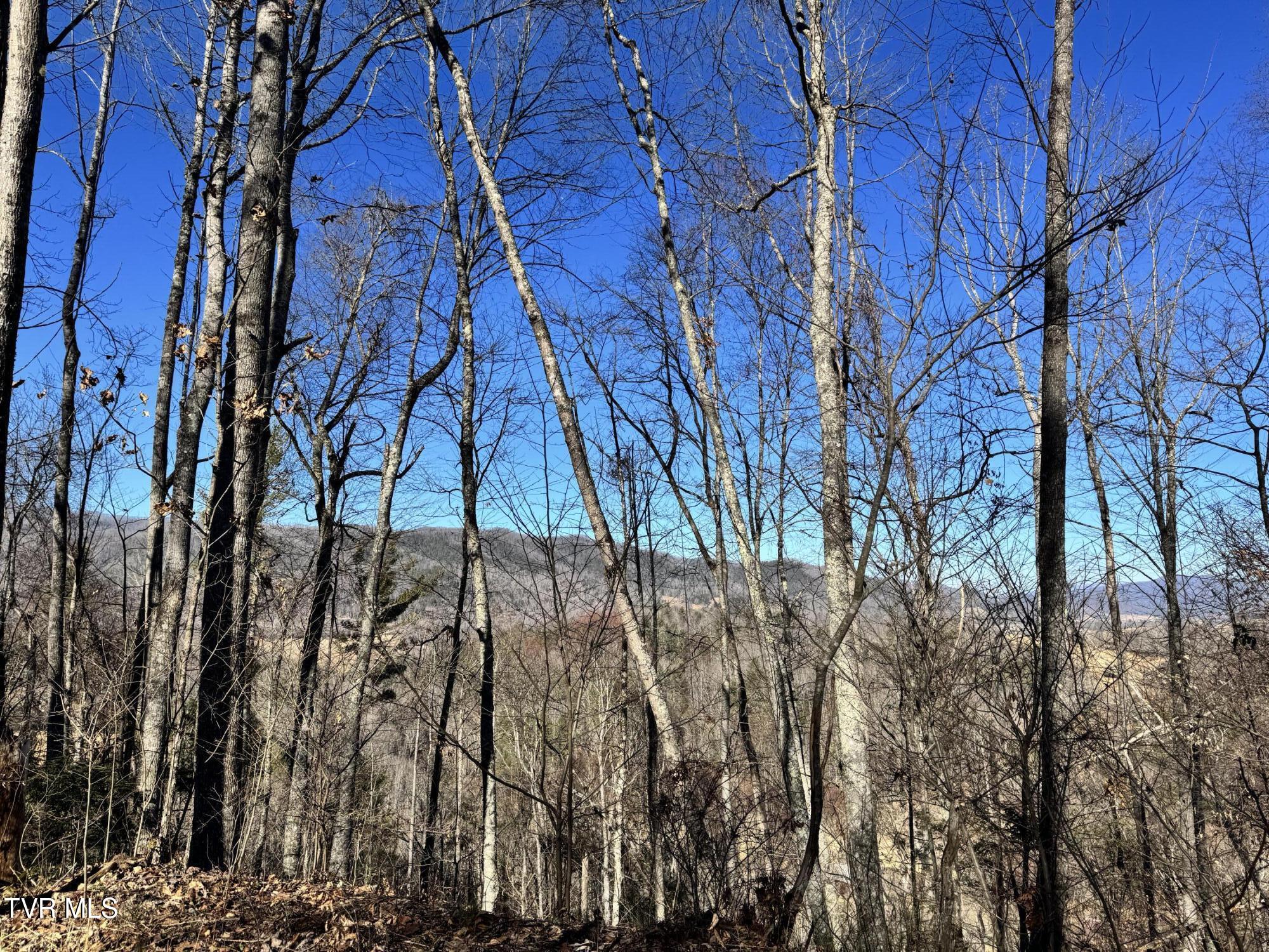 Big Dry Run Road, Mountain City, Tennessee image 29