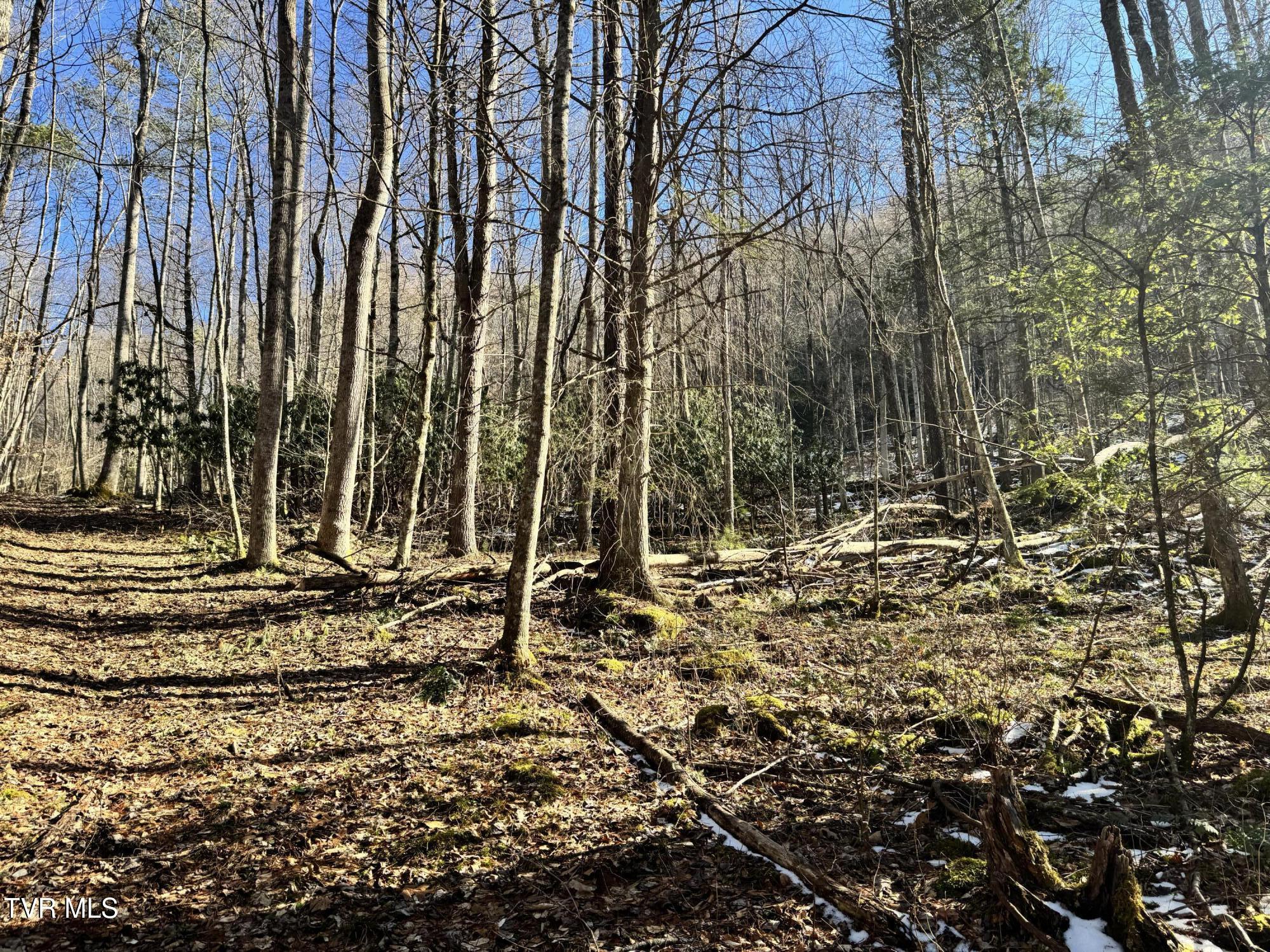 Big Dry Run Road, Mountain City, Tennessee image 23