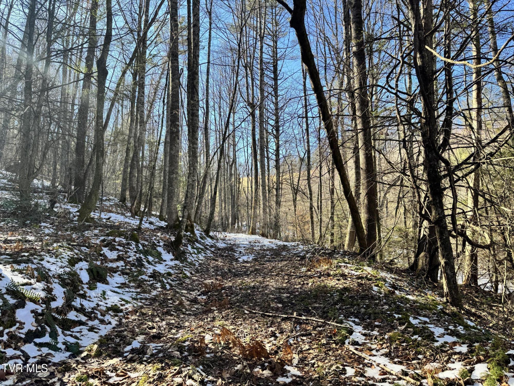 Big Dry Run Road, Mountain City, Tennessee image 21