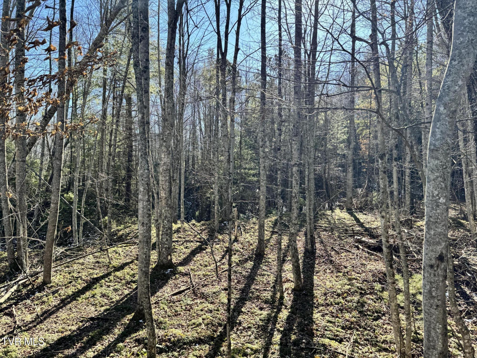 Big Dry Run Road, Mountain City, Tennessee image 43