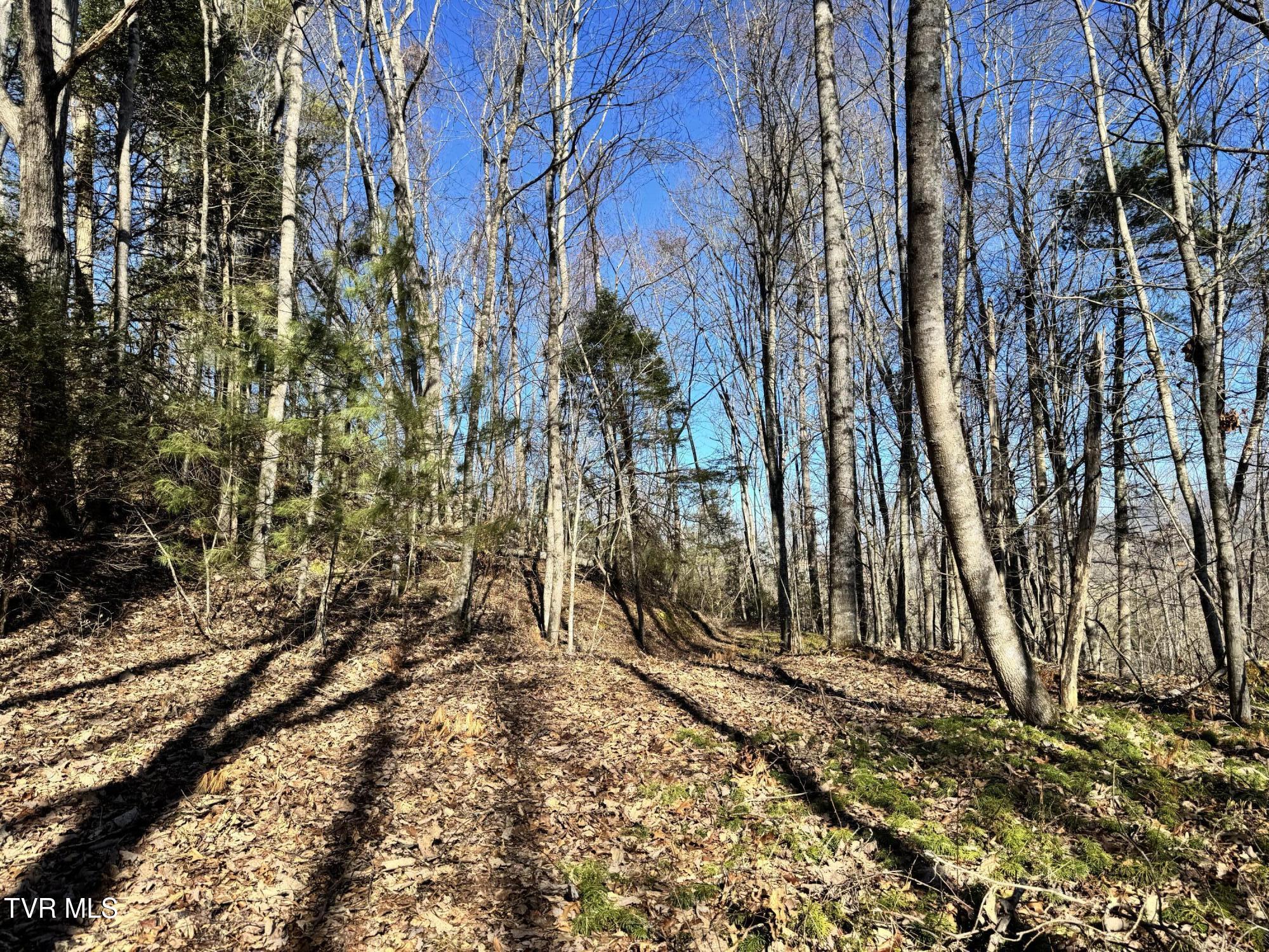 Big Dry Run Road, Mountain City, Tennessee image 11