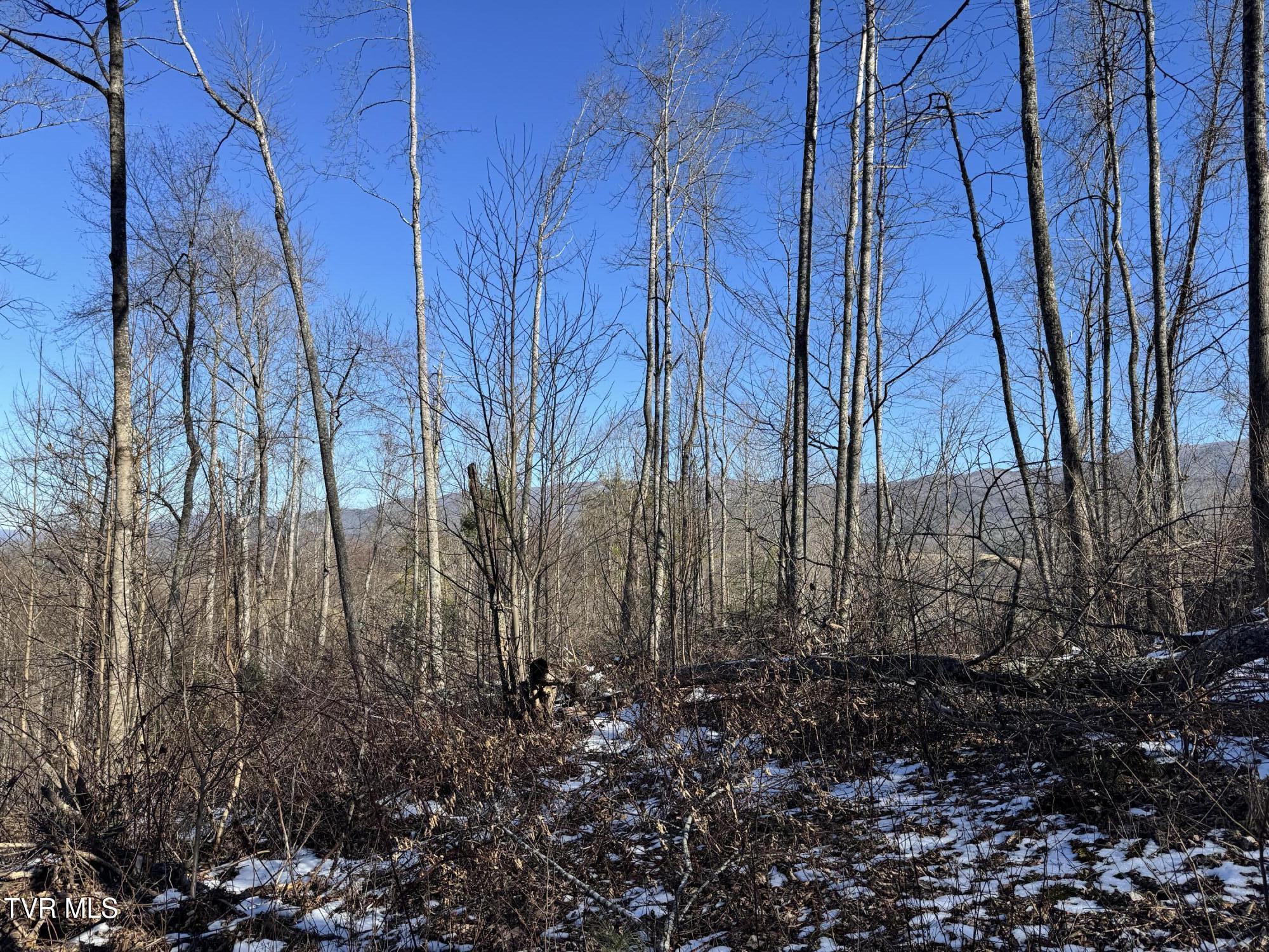 Big Dry Run Road, Mountain City, Tennessee image 6
