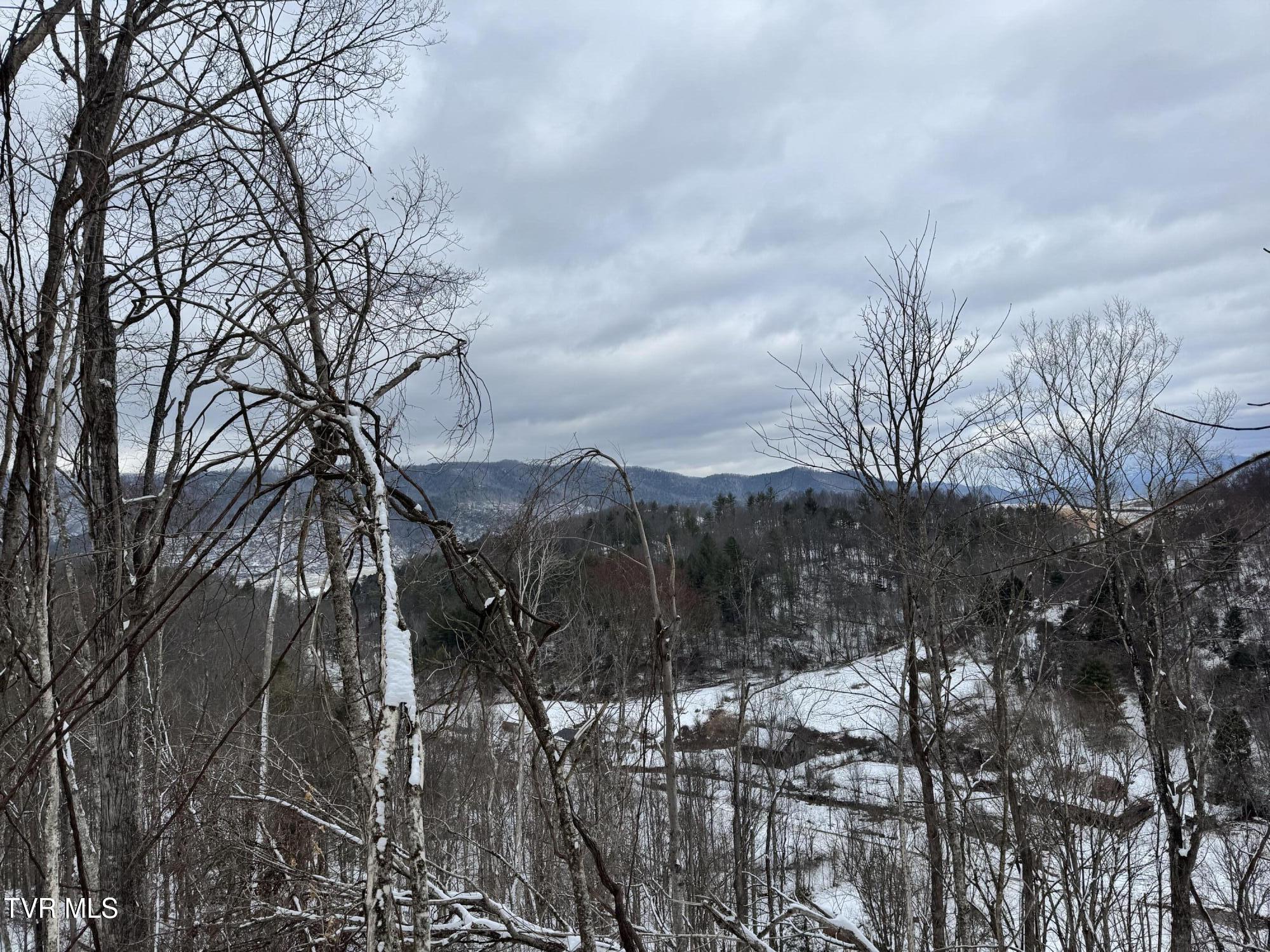Big Dry Run Road, Mountain City, Tennessee image 5
