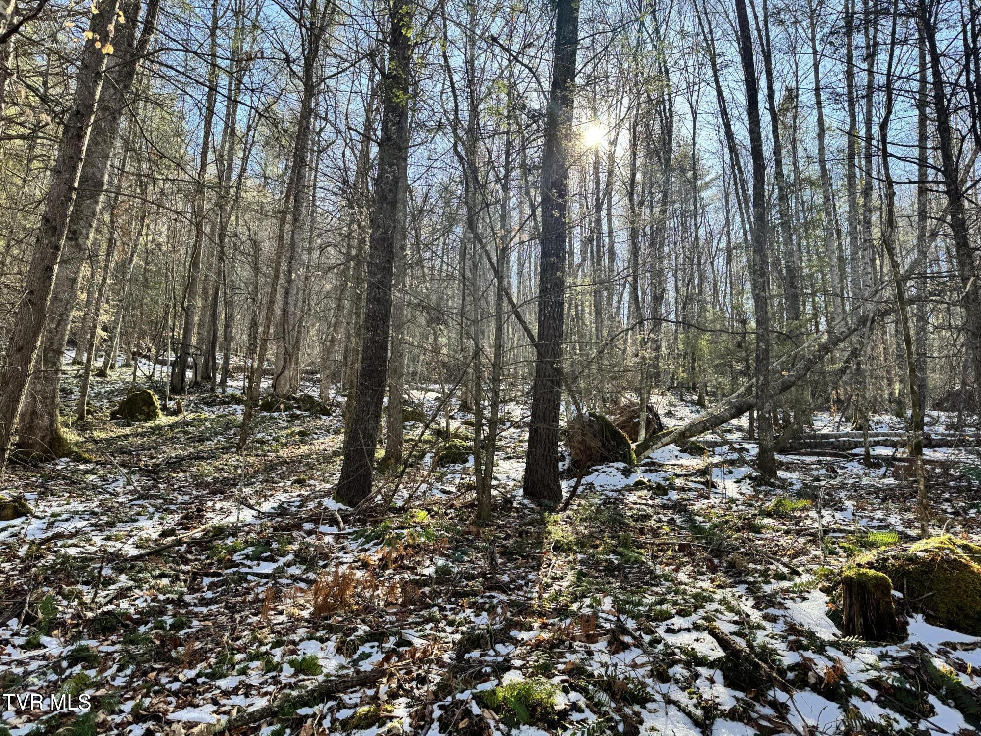Big Dry Run Road, Mountain City, Tennessee image 20