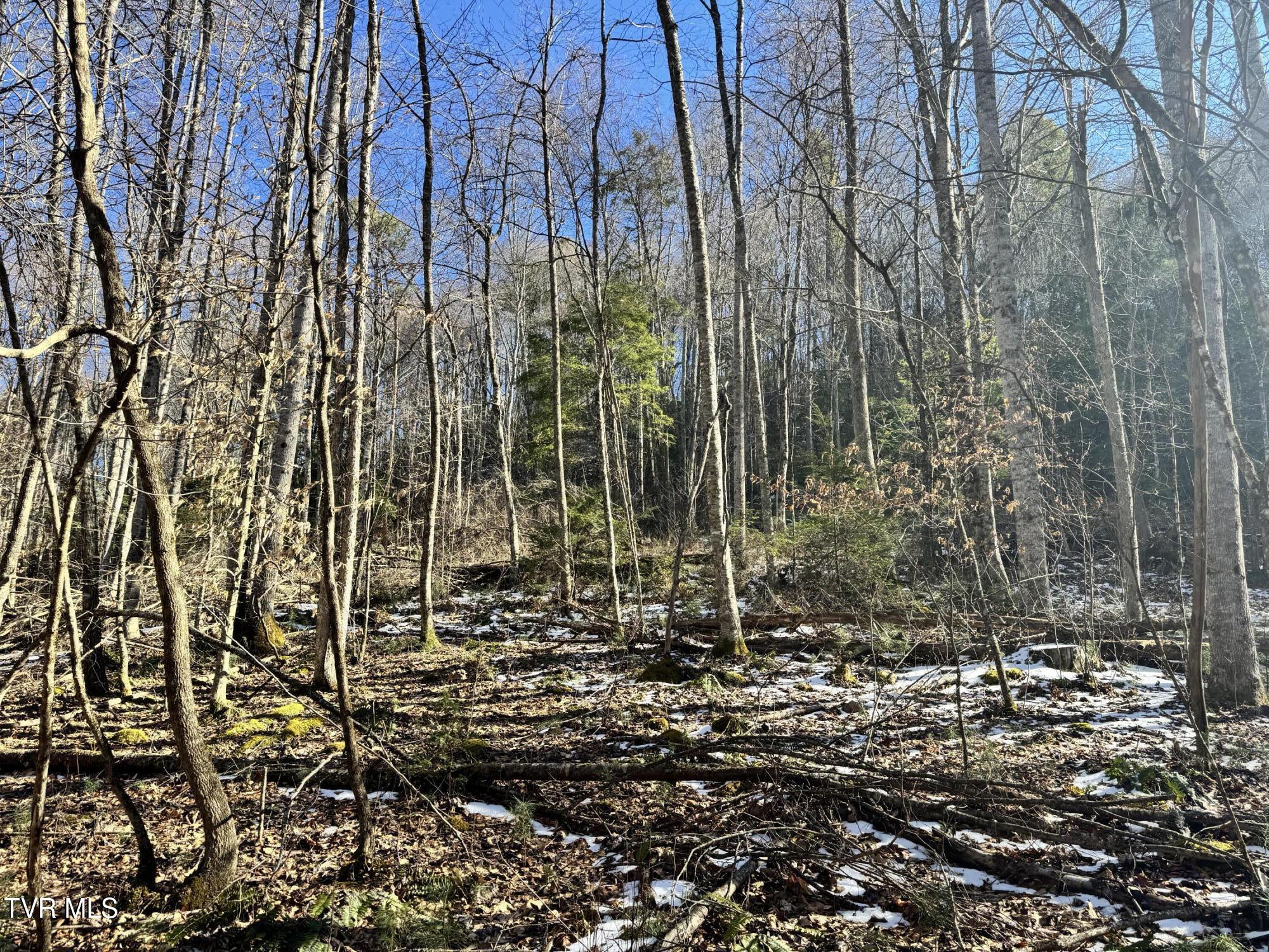 Big Dry Run Road, Mountain City, Tennessee image 9