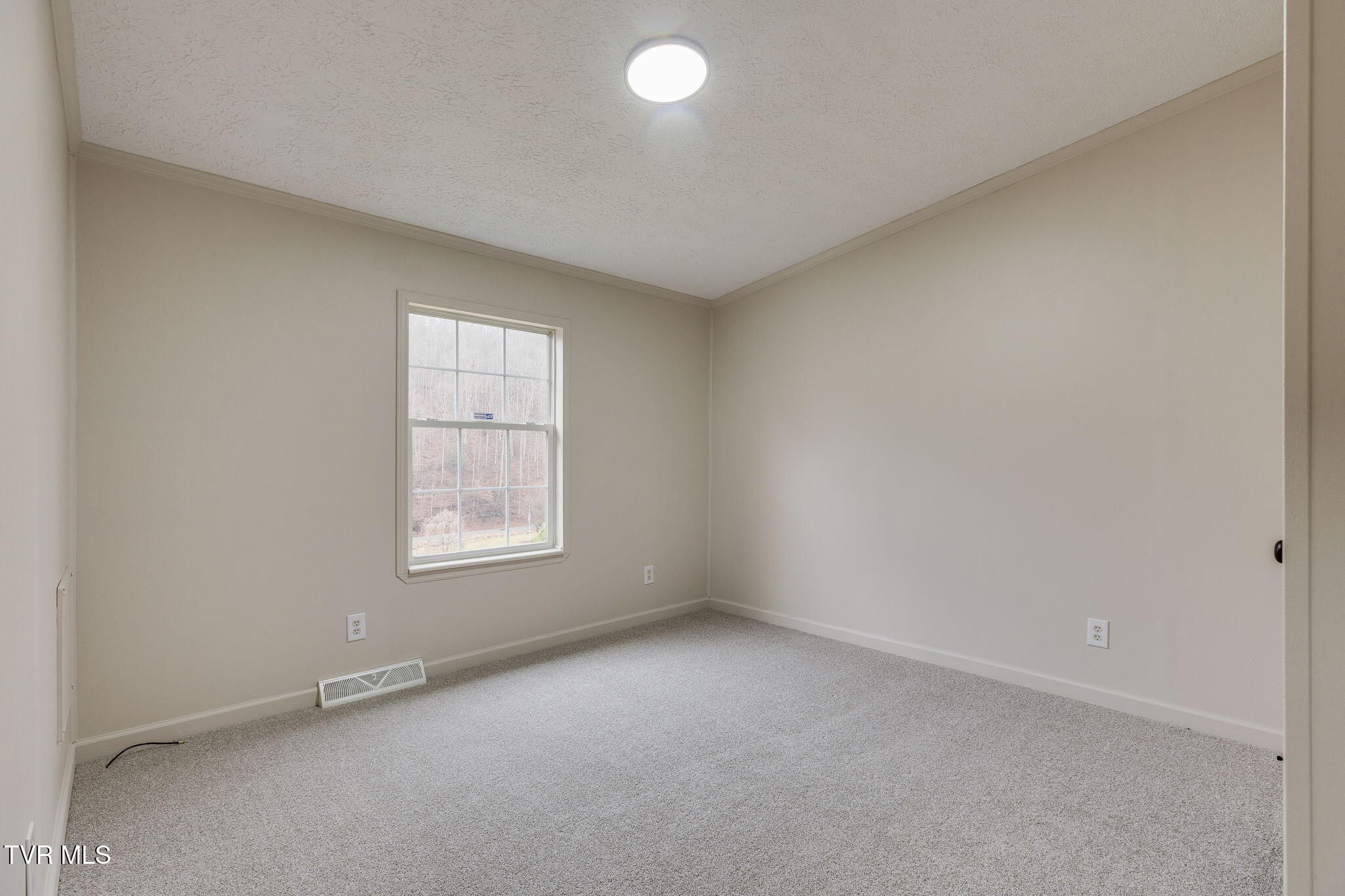 37308 Chestnut Mountain Road, Damascus, Virginia image 19
