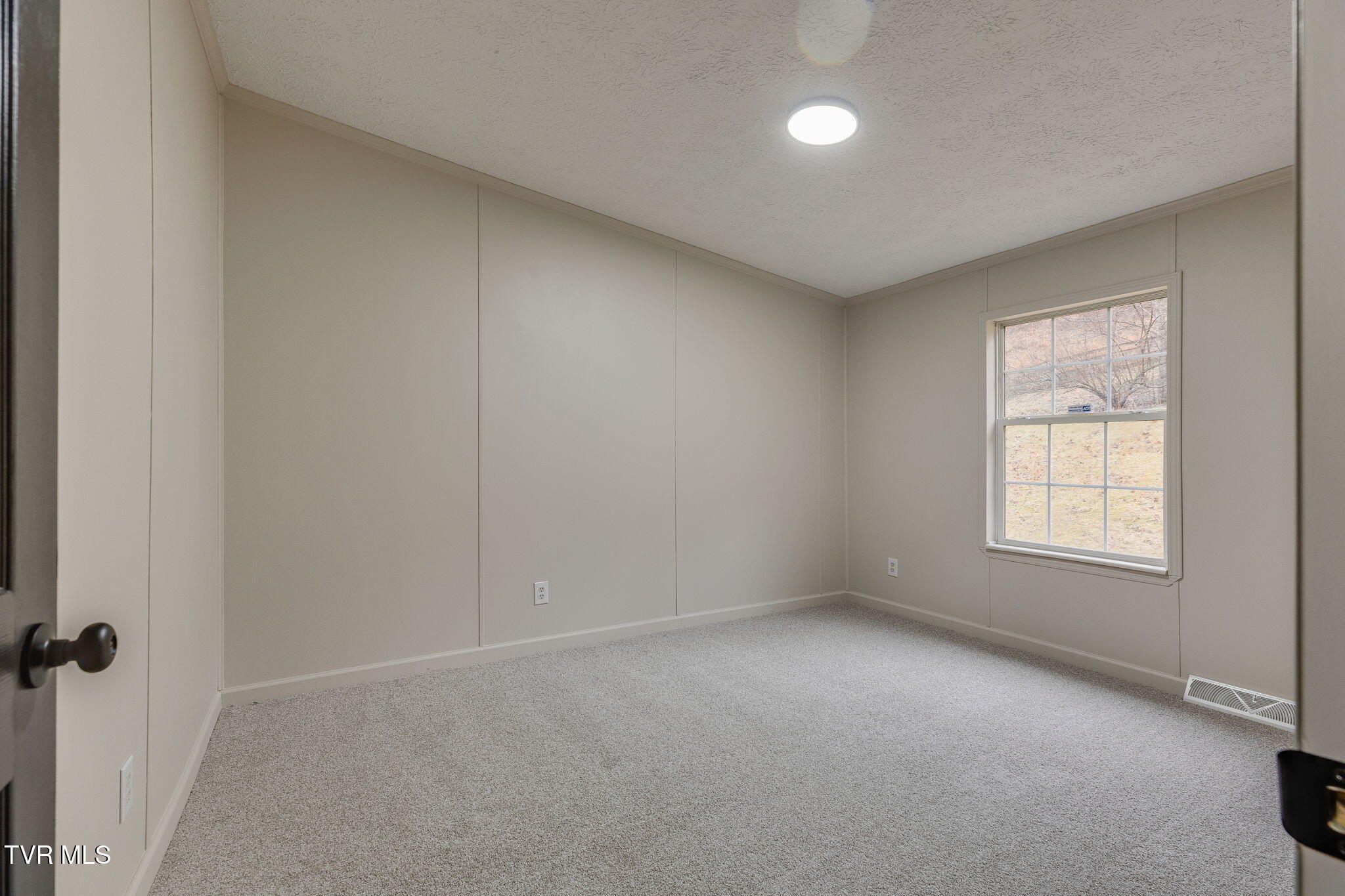 37308 Chestnut Mountain Road, Damascus, Virginia image 21