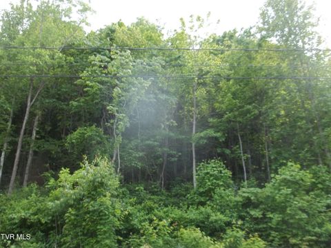 Photo of 437 Creekside Drive, Mount Carmel, TN 37645 (MLS # 9995189)