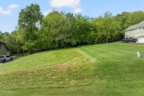 Tiny photo for 205 Grande Harbor Way, Blountville, TN 37617 (MLS # 9986201)