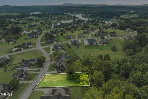 Tiny photo for 205 Grande Harbor Way, Blountville, TN 37617 (MLS # 9986201)