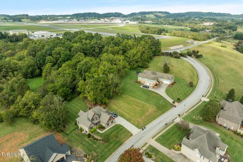 Tiny photo for 205 Grande Harbor Way, Blountville, TN 37617 (MLS # 9986201)