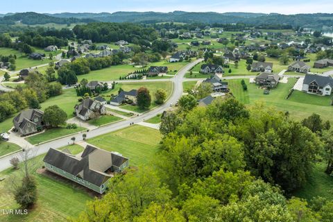 Tiny photo for 205 Grande Harbor Way, Blountville, TN 37617 (MLS # 9986201)