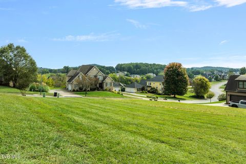 Tiny photo for 205 Grande Harbor Way, Blountville, TN 37617 (MLS # 9986201)