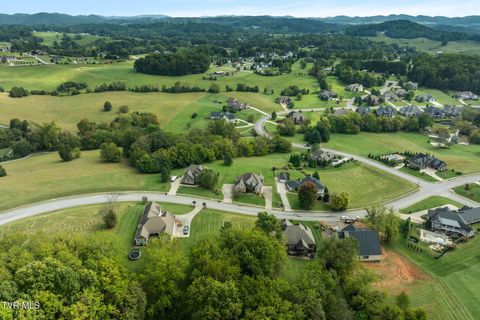Tiny photo for 205 Grande Harbor Way, Blountville, TN 37617 (MLS # 9986201)
