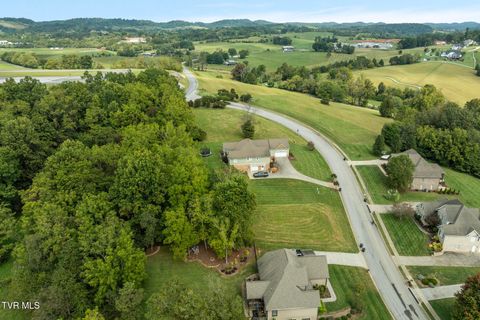 Tiny photo for 205 Grande Harbor Way, Blountville, TN 37617 (MLS # 9986201)