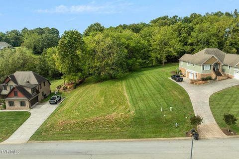 Tiny photo for 205 Grande Harbor Way, Blountville, TN 37617 (MLS # 9986201)