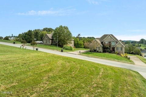 Tiny photo for 205 Grande Harbor Way, Blountville, TN 37617 (MLS # 9986201)