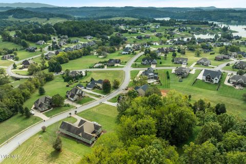 Tiny photo for 205 Grande Harbor Way, Blountville, TN 37617 (MLS # 9986201)