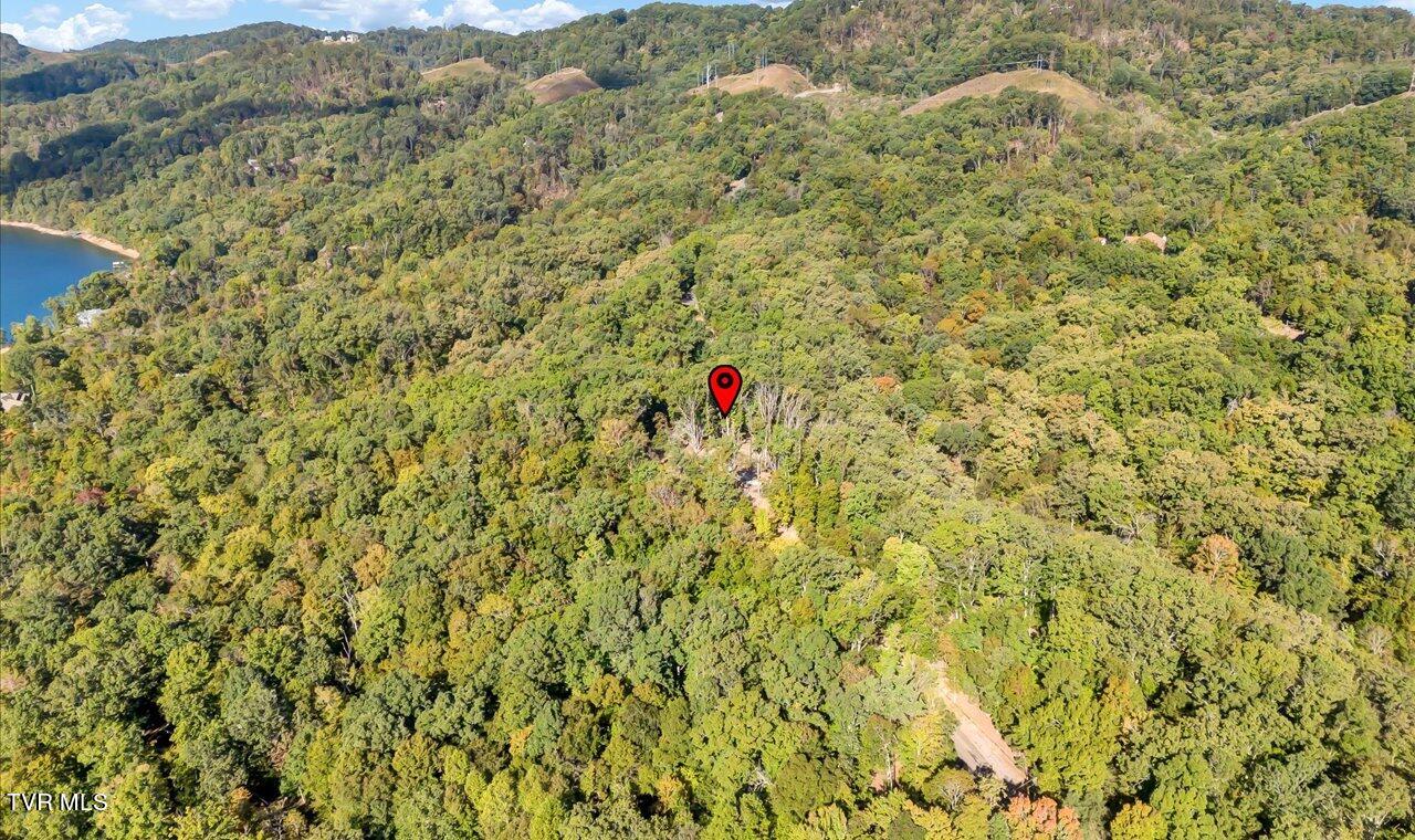 313 Chelaque Way, Mooresburg, Tennessee image 18