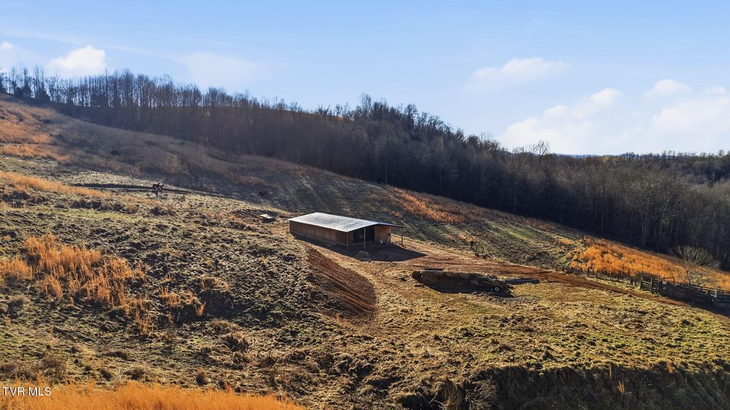 Photo of 431 Strong Hollow Lane, Fort Blackmore, VA 24250 (MLS # 9991745)