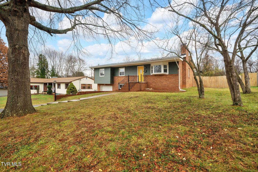 Photo of 1008 Crocus Street, Johnson City, TN 37601 (MLS # 9988803)