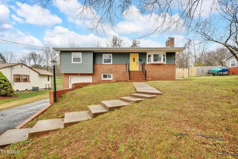 Photo of 1008 Crocus Street, Johnson City, TN 37601 (MLS # 9988803)