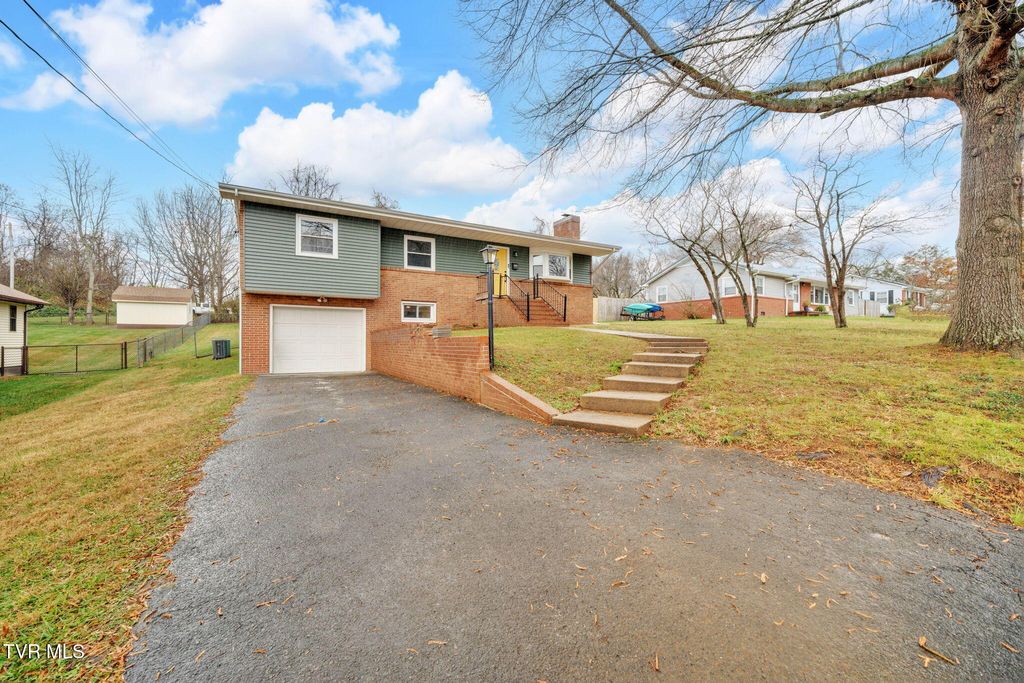 Photo of 1008 Crocus Street, Johnson City, TN 37601 (MLS # 9988803)