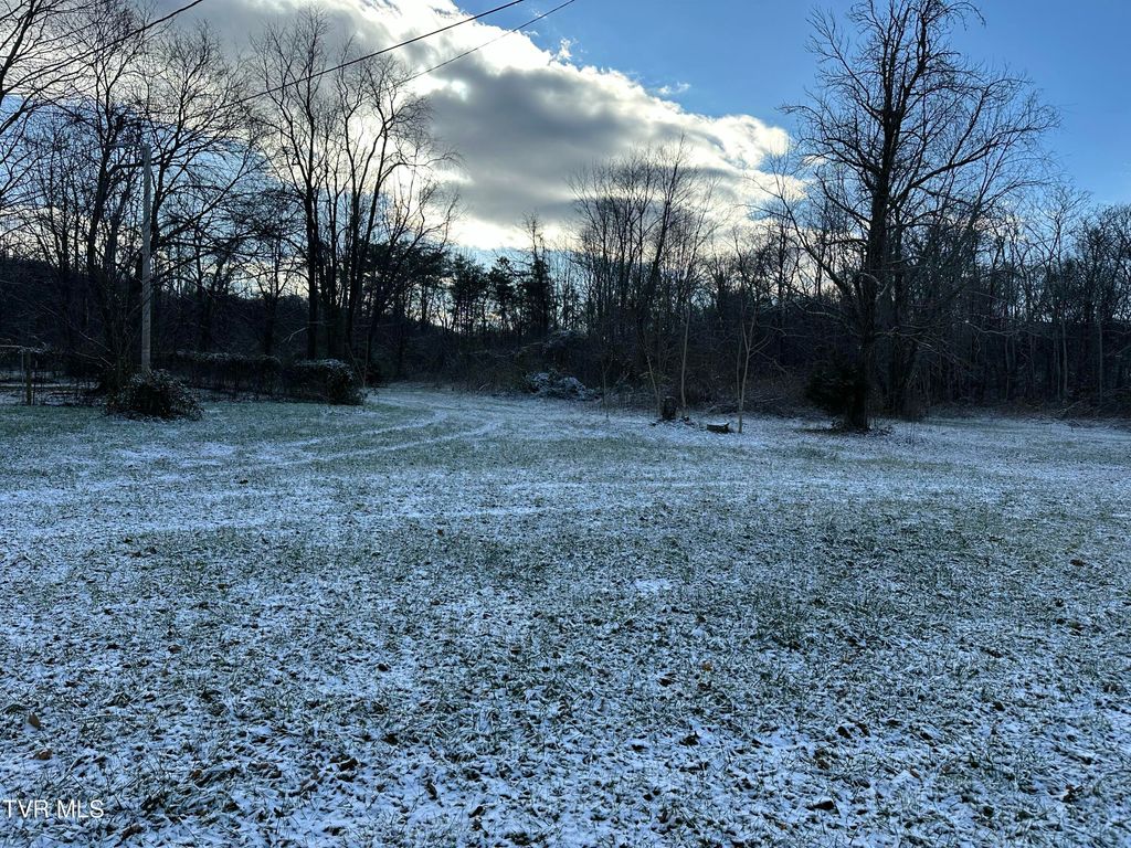 Photo of 186 Liberty Hill Road, Chuckey, TN 37641 (MLS # 9989426)