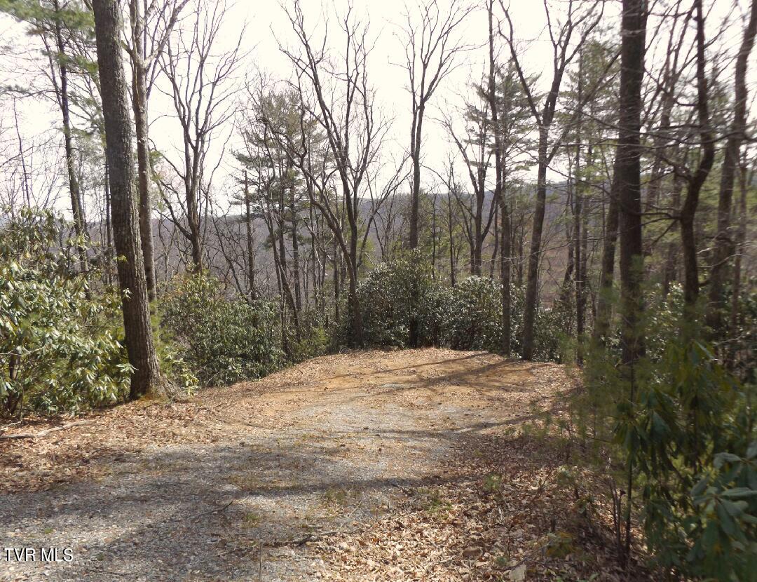 704 Heartwood  Lot 55 Lane, Butler, Tennessee image 1