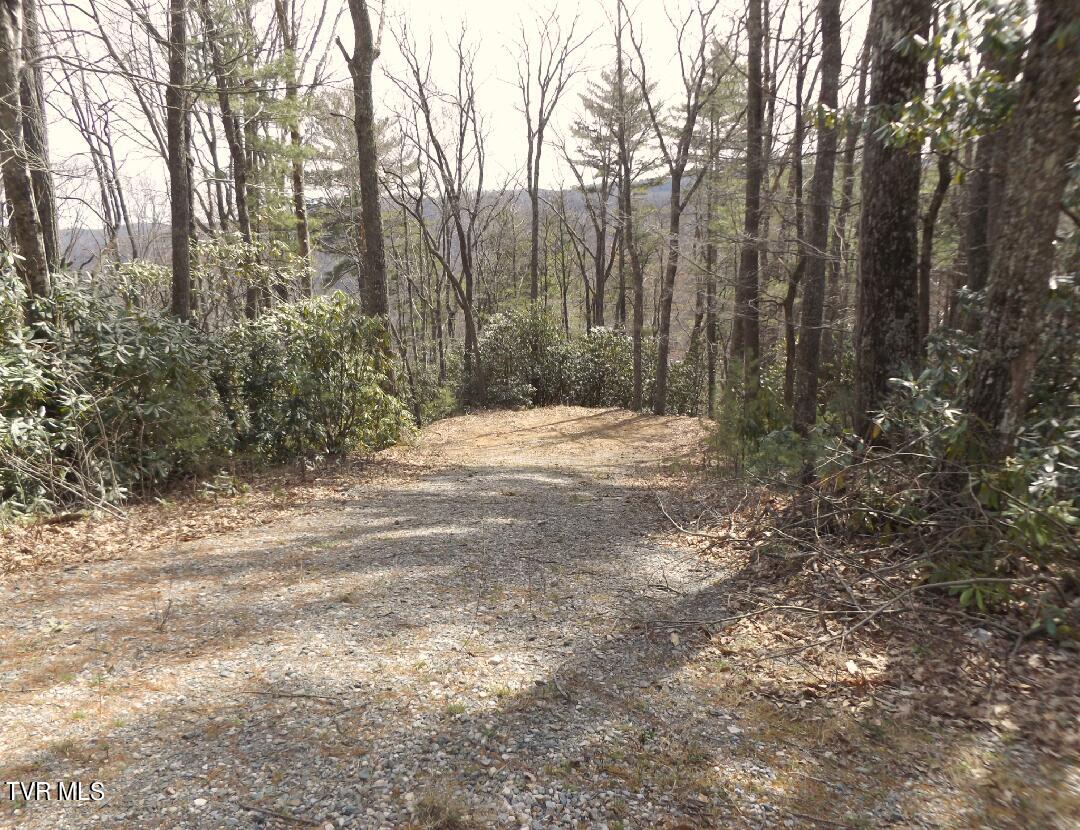 704 Heartwood  Lot 55 Lane, Butler, Tennessee image 2