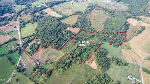 Vacant Land For Sale - 32AC Blake Lane<br/> Chuckey, TN 37641