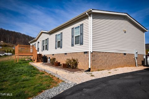 Photo of 255 Rolling Hills Drive, Church Hill, TN 37642 (MLS # 9992409)