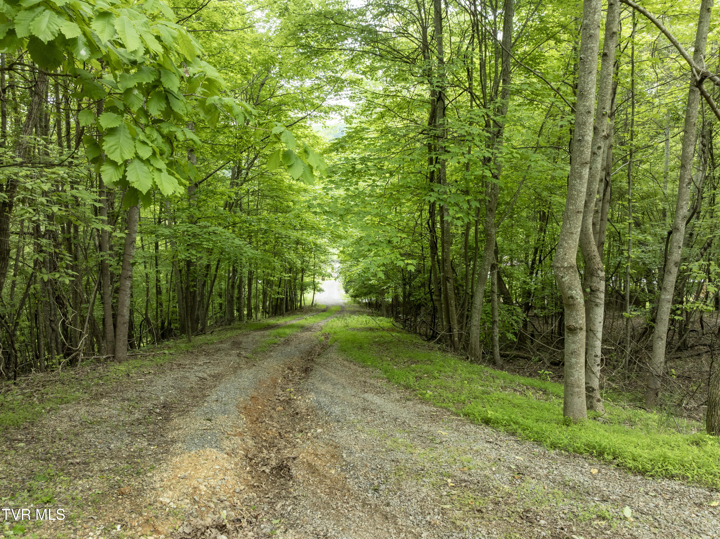 000 Culbertson Dr, Gate City, Virginia image 1