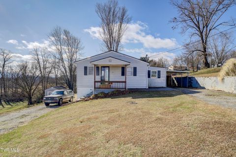 Photo of 377 Henson Road, Bristol, TN 37620 (MLS # 9989676)