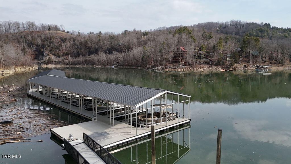 Lot 92 Tester Lane, Butler, Tennessee image 17