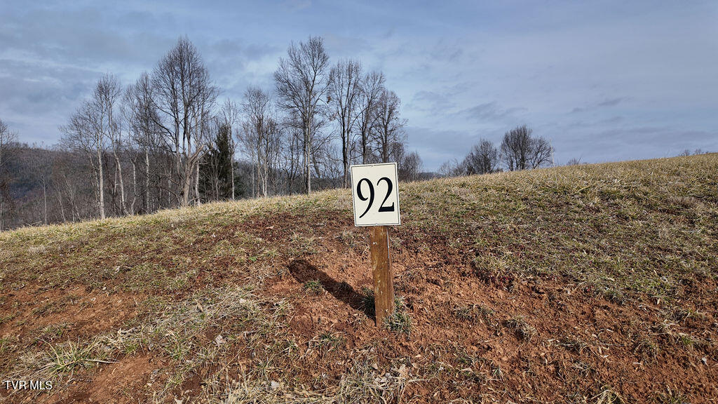 Lot 92 Tester Lane, Butler, Tennessee image 36