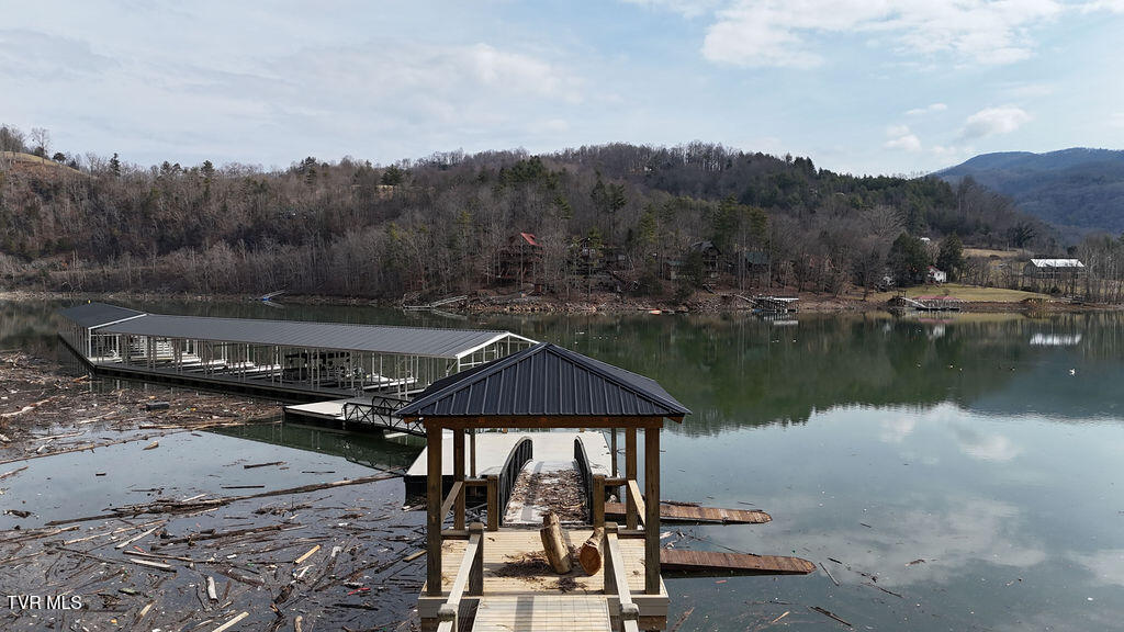 Lot 92 Tester Lane, Butler, Tennessee image 18