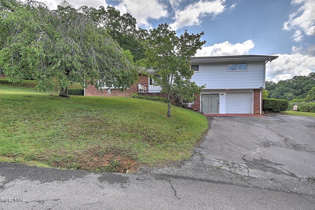 Photo of 132 Tall Oak Street, Weber City, VA 24290 (MLS # 9997200)