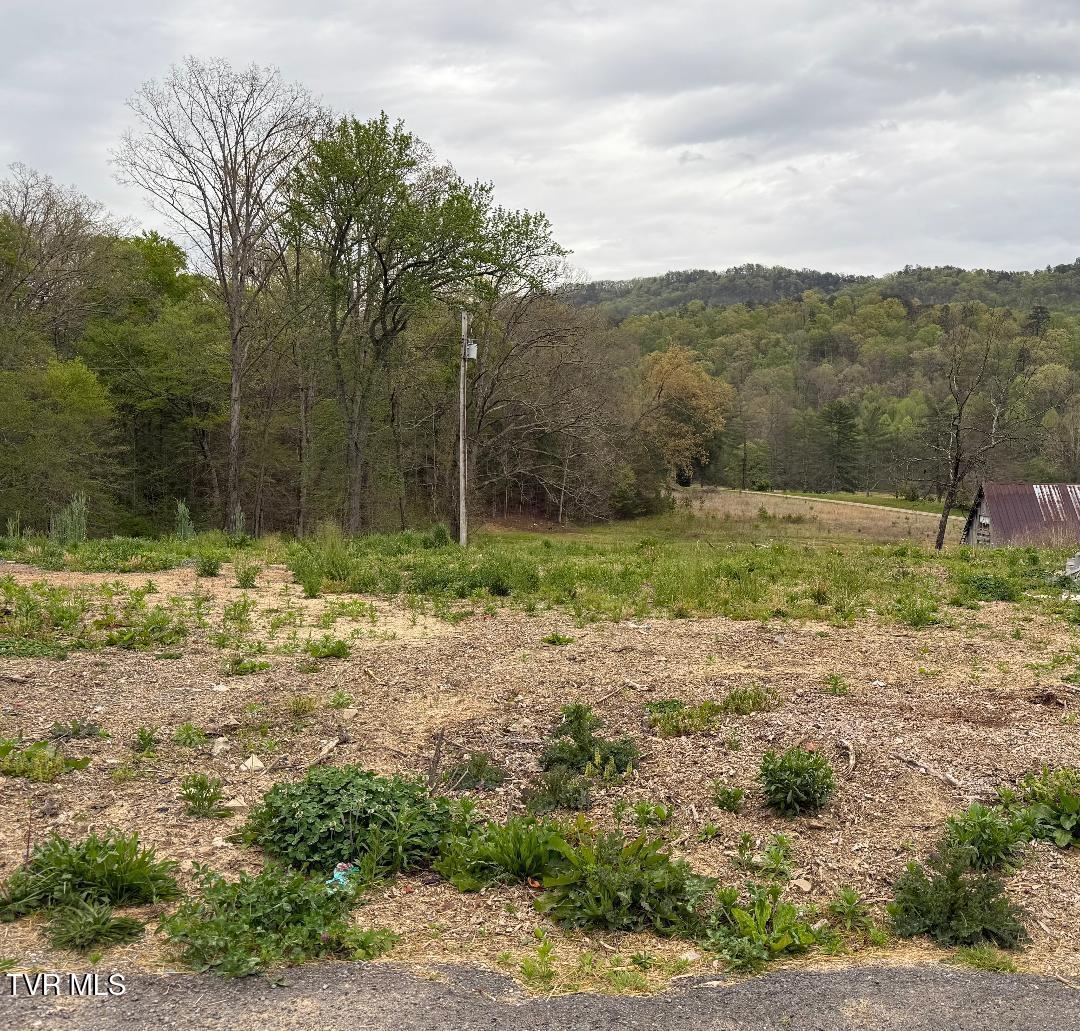 128 Elbow City Road, Rogersville, Tennessee image 3