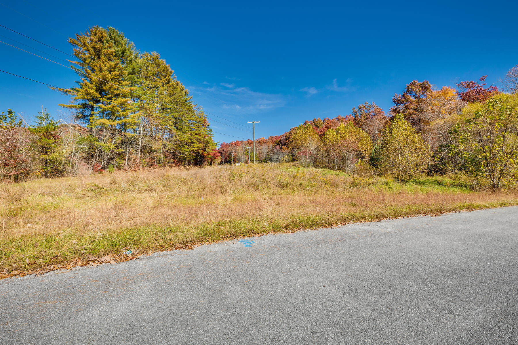 Lot 18 Colten Court, Unicoi, Tennessee image 2