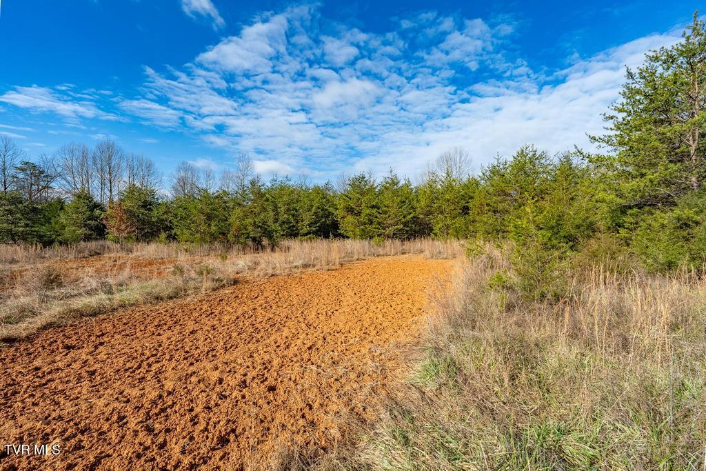Tbd93Acres Hunting Hill Road, Bluff City, Tennessee image 40